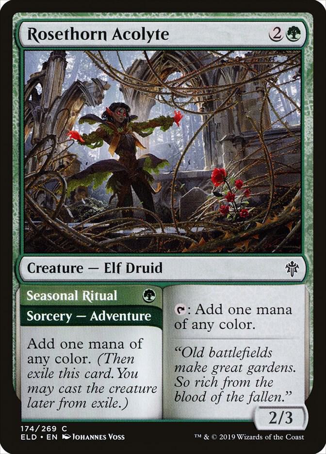 Rosethorn Acolyte - 174 Normal - Throne of Eldraine